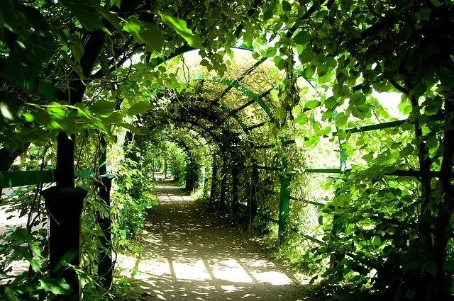 Pergola na balkon - dlaczego warto zdecydować się na zakup pergoli?